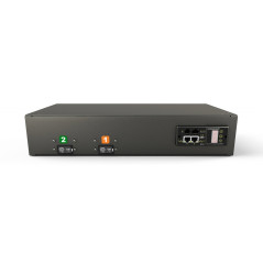 Vertiv Geist GI30032L unità di distribuzione dell'energia (PDU) 16 presa(e) AC 2U Nero