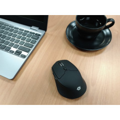 Conceptronic Lorcan Ergo mouse Giocare Mano destra Bluetooth 1600 DPI