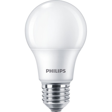 Philips Lampadina 60 W A60 E27