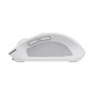 Trust Ozaa mouse Ufficio Mano destra RF senza fili + Bluetooth Ottico 3200 DPI