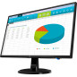 HP N246v Monitor PC 60,5 cm (23.8") 1920 x 1080 Pixel Full HD LED Nero