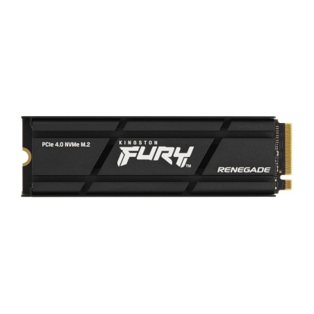 Kingston Technology 1000G RENEGADE PCIe 4.0 NVMe SSD W  Dissipatore di calore