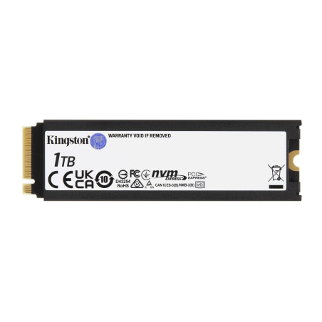 Kingston Technology 1000G RENEGADE PCIe 4.0 NVMe SSD W/ Dissipatore di calore