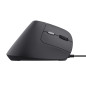 Trust Bayo II mouse Mano destra USB tipo A 2400 DPI