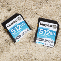 Kingston Technology Scheda SDXC Canvas Go Plus 170R C10 UHS-I U3 V30 da 512GB