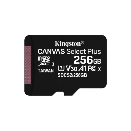 Kingston Technology Scheda micSDXC Canvas Select Plus 100R A1 C10 da 256GB confezione singola senza adattatore