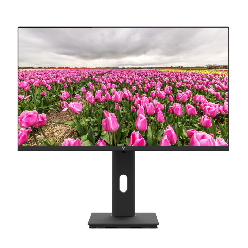 V7 Monitor LED IPS 23.8" FHD 1920x1080