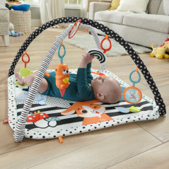 Fisher-Price HBP41 palestra per bambino e tappeto di gioco Multicolore Palestrina a tappeto per bambino