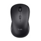 Trust TM-250 mouse Ufficio Ambidestro RF Wireless Ottico 1600 DPI