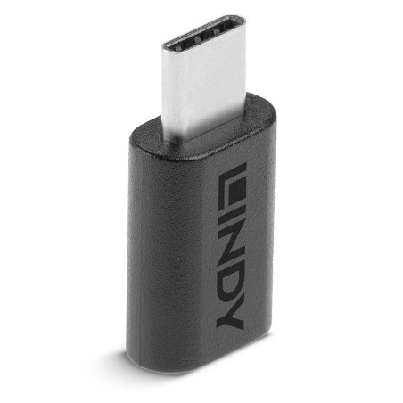 Lindy 41893 adattatore per inversione del genere dei cavi USB 3.2 Type C Nero