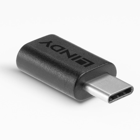 Lindy 41893 adattatore per inversione del genere dei cavi USB 3.2 Type C Nero