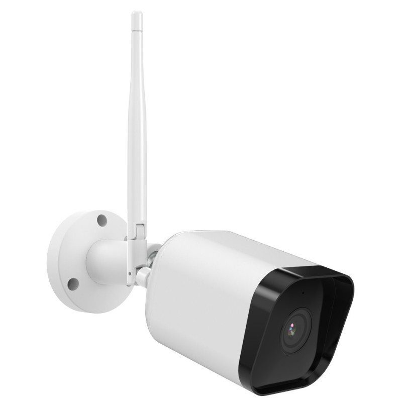 Isiwi ISW-BFES2M Capocorda Telecamera di sicurezza IP Interno Parete