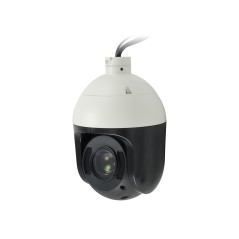 LevelOne FCS-4048 telecamera di sorveglianza Cupola Telecamera di sicurezza IP Interno e esterno 1920 x 1080 Pixel Soffitto