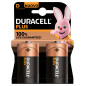 Duracell Plus 100 D B2 x10