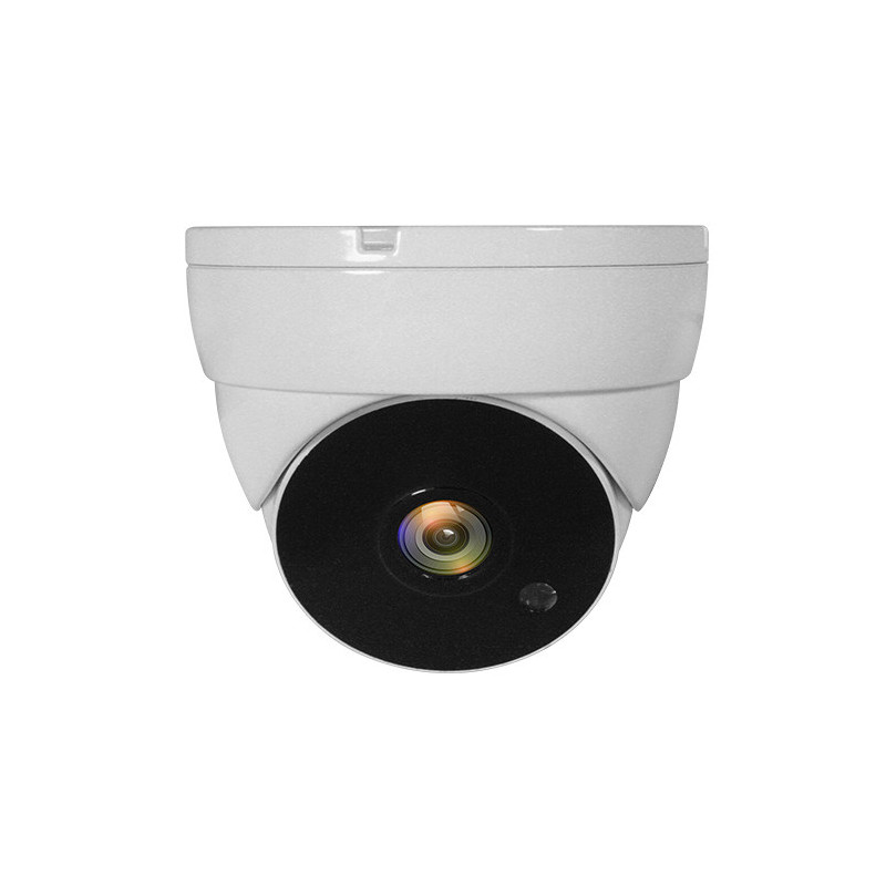 LevelOne ACS-5302 telecamera di sorveglianza Cupola Telecamera di sicurezza CCTV Interno e esterno Soffitto