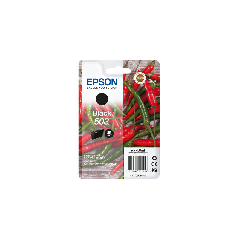 Epson 503 cartuccia d'inchiostro 1 pz Originale Resa standard Nero