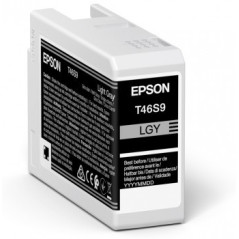 Epson UltraChrome Pro cartuccia d'inchiostro 1 pz Originale Grigio chiaro