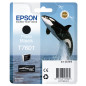 Epson Nero Photo T7601