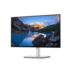 DELL UltraSharp Monitor 24 - U2422H