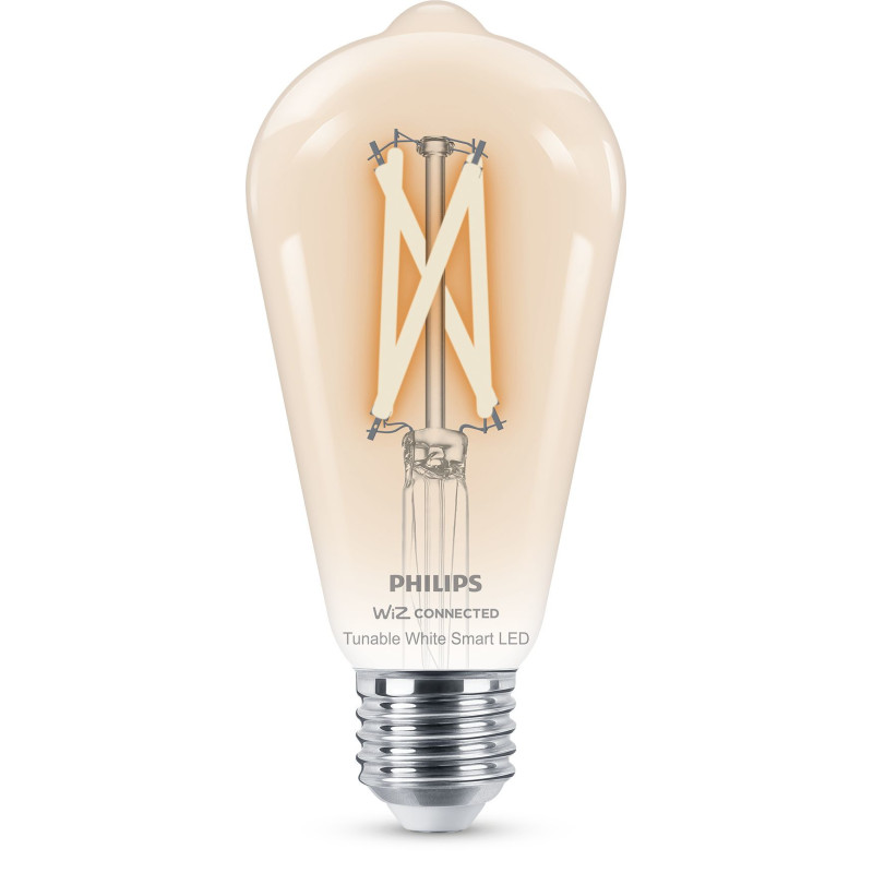 Philips LED Lampadina Smart Filament Dimmerabile Luce Bianca da Calda a Fredda Attacco E27 60W Edison