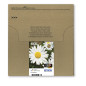 Epson Daisy Multipack Margherita 4 colori Inchiostri Claria Home 18XL in confezione EasyMail Packaging