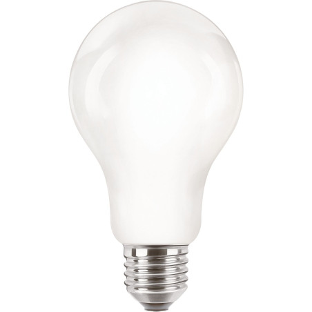 Philips Lampadina smerigliata a filamento 120 W A67 E27