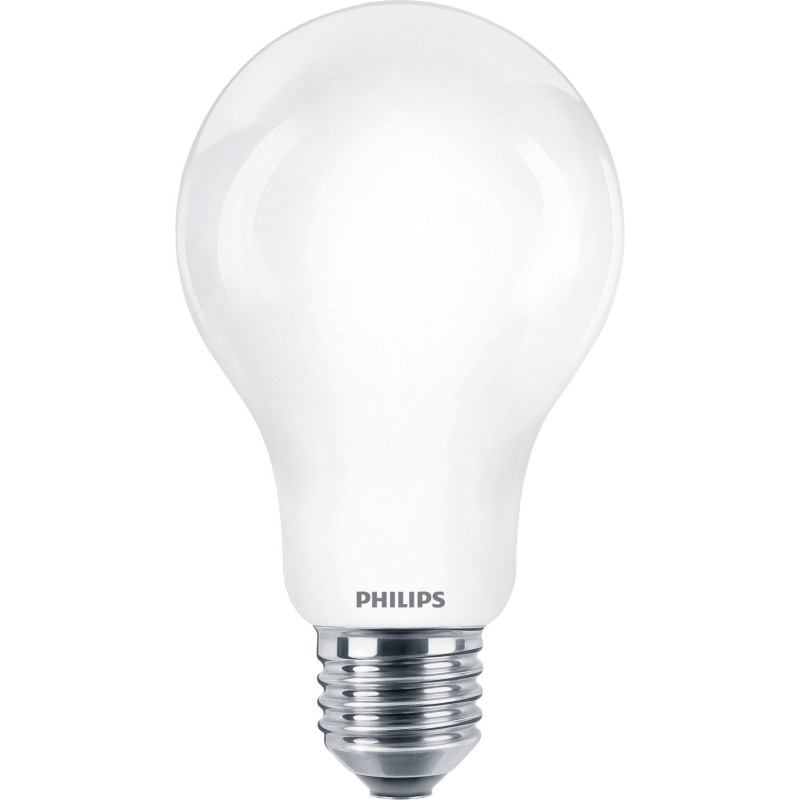 Philips Lampadina smerigliata a filamento 120 W A67 E27