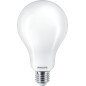 Philips Lampadina smerigliata a filamento 200 W A95 E27