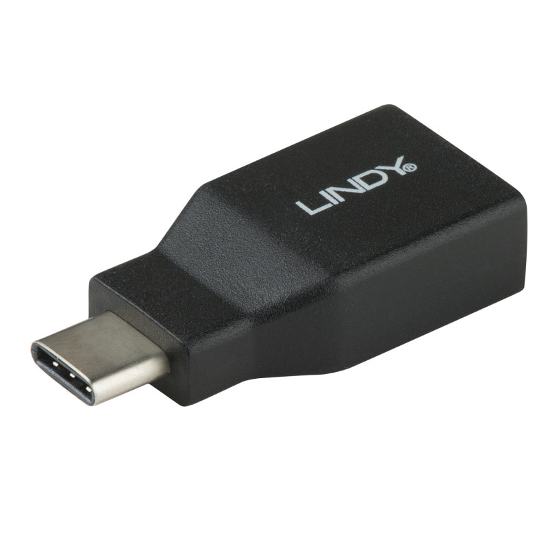 Lindy 41899 adattatore per inversione del genere dei cavi USB 3.1-C USB 3.1-A Nero