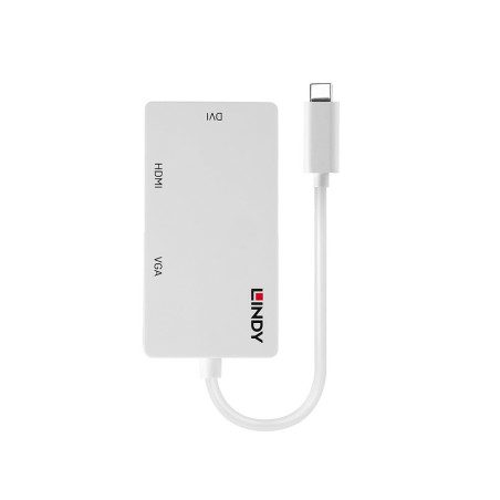 Lindy 43273 adattatore grafico USB 3840 x 2160 Pixel Bianco