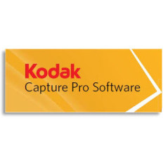 Kodak Alaris Capture Pro, Grp DX, 1Y Editor grafico 1 anno i
