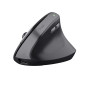 Trust TM-270 mouse Ufficio Mano destra RF Wireless Ottico 2400 DPI