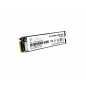 V7 V7SSD512GBNV3E drives allo stato solido M.2 512 GB Serial ATA III NVMe 3D TLC