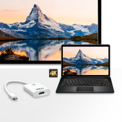 ATEN Adattatore attivo da 4K Mini DisplayPort a HDMI