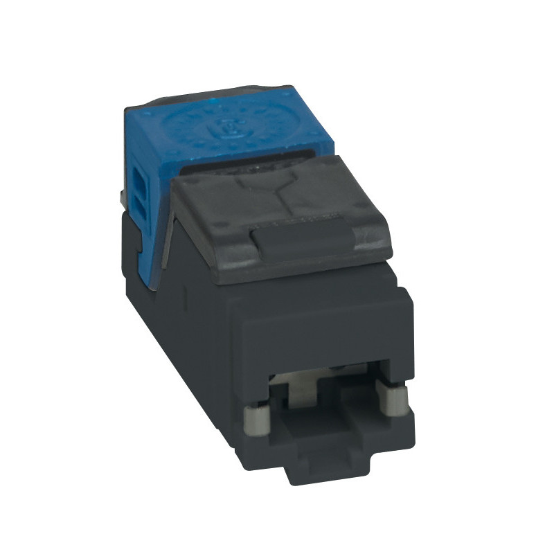 Legrand 033763 cavo di collegamento RJ-45 Nero, Blu