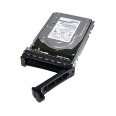 DELL 400-AURS disco rigido interno 3.5" 1 TB Serial ATA III