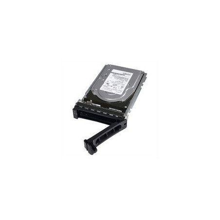 DELL 400-AURS disco rigido interno 3.5" 1 TB Serial ATA III