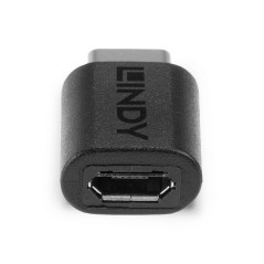 Lindy 41896 adattatore per inversione del genere dei cavi USB-C Micro-B Nero